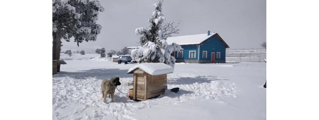 Kar Suyu Hasadı / Snow Water Harversting