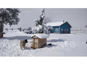 Kar Suyu Hasadı / Snow Water Harversting